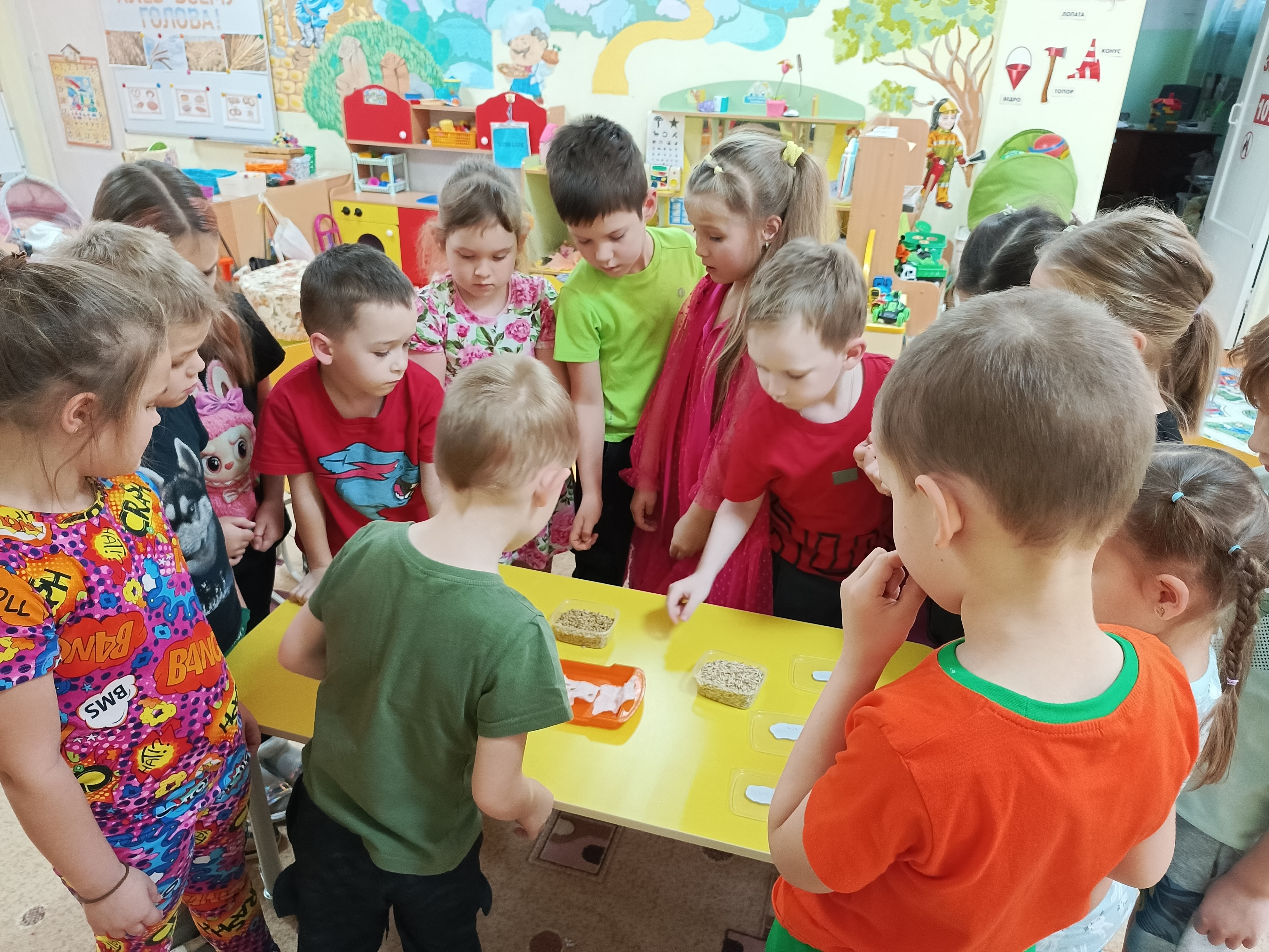 IMG 20251015 151701 411