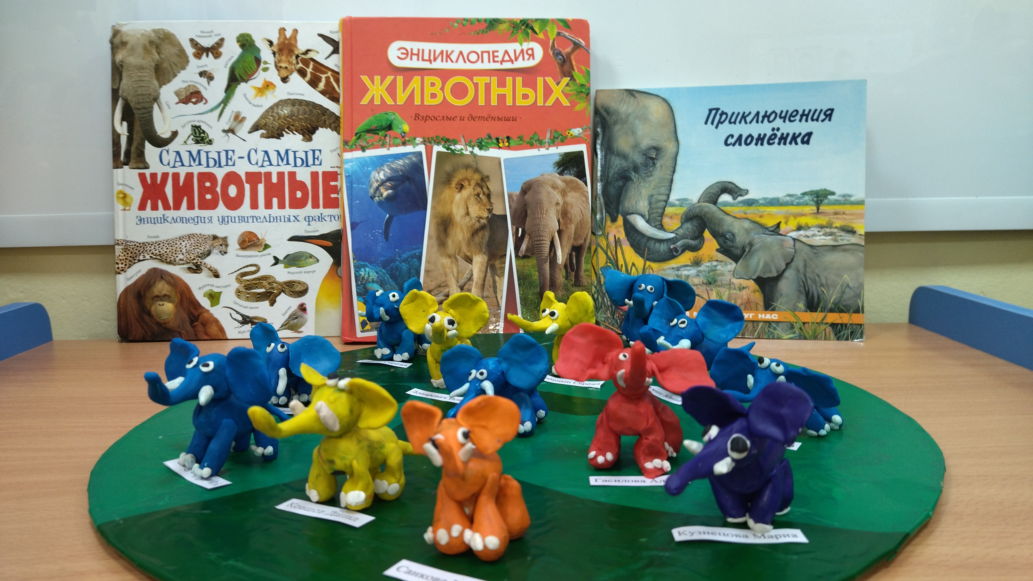 IMG 20250403 111728